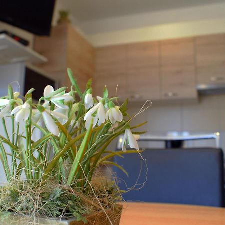 Apartments Martina Бибине Екстериор снимка