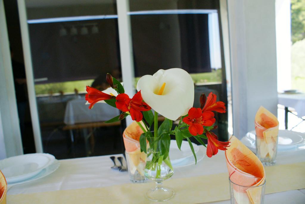 Apartments Martina Бибине Екстериор снимка